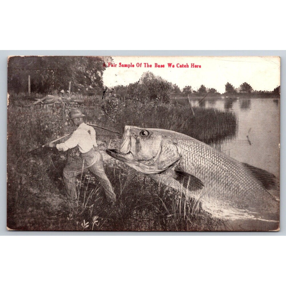 1912 Exaggerated Fishing Postcard Freak Fish Des No 3 Giant Bass Tall Tale